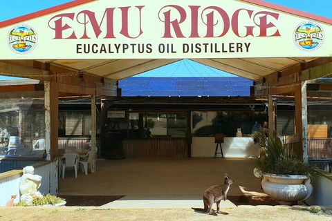 2-Day Kangaroo Island Safari From Adelaide - Accommodation Gold Coast 4