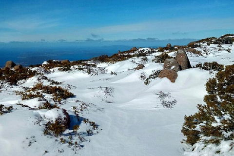 Mt Wellington Ultimate Experience Tour From Hobart - Accommodation Gold Coast 4