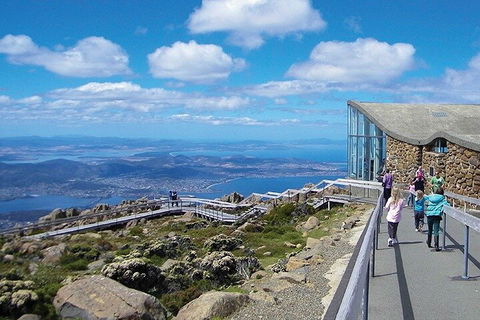 Mt Wellington Tour And MONA Admission - Accommodation Gold Coast 1