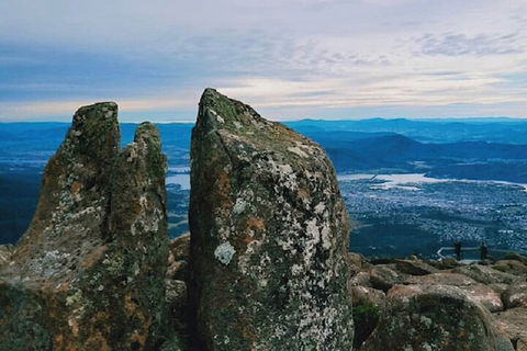 Mt Wellington Tour And MONA Admission - Accommodation Gold Coast 2