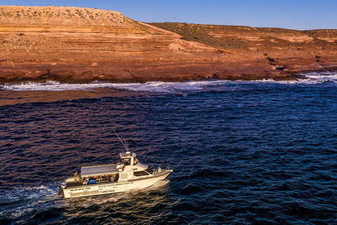 Kalbarri Sunset Coastal Cliff Cruise - Accommodation Gold Coast 4