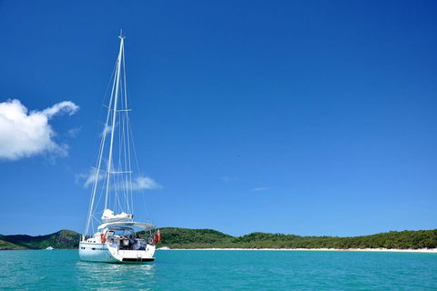 Sailing Curlew Escape On Moreton Bay - Accommodation Gold Coast 5