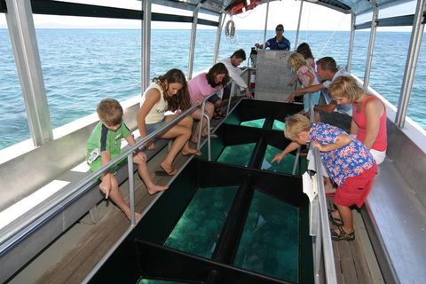 Green Island Discovery Including Glass Bottom Boat Tour Departing Cairns - 1 Gold Coast 5