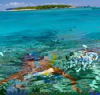Green Island Day Trip Including Seawalker Helmet Dive COMBO - Accommodation Gold Coast