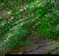 Green Island Eco Adventure from Cairns - Accommodation Gold Coast