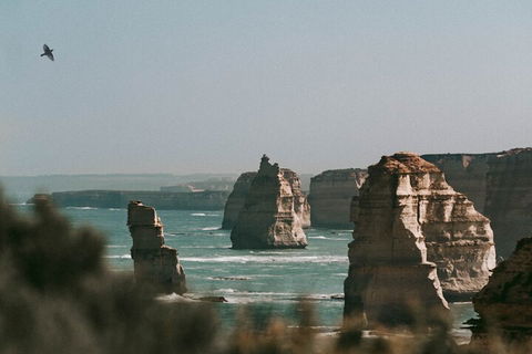 Half-Day Or Full-Day Tour With Private Guide From Melbourne - Accommodation Gold Coast 0