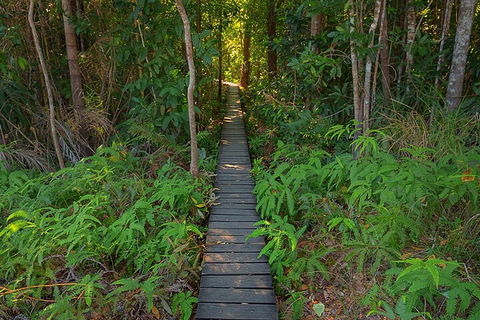 One Day Litchfield Park Adventures - Accommodation Gold Coast 4