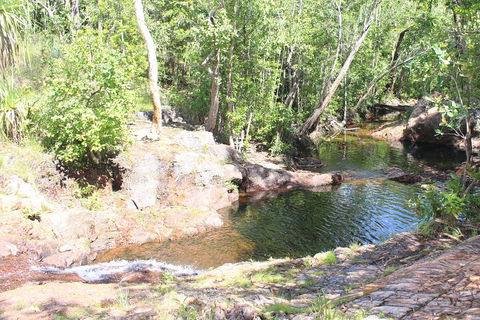 Jumping Crocodile Cruise And Berry Springs Nature Park - Accommodation Gold Coast 3