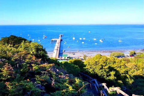 Mornington Peninsula Sightseeing Tour For 2-6 Guests. - Accommodation Gold Coast 1