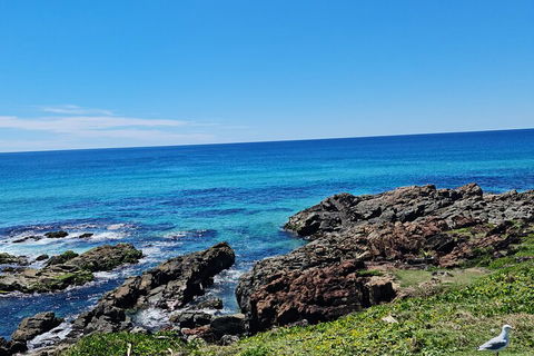 Private Custom Byron Bay Day Out - Accommodation Gold Coast 4