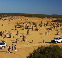 1-Day Pinnacles and Yanchep Tour from Perth including Fish and Chips Lunch - Accommodation Gold Coast