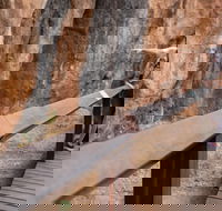 Chillagoe Caves and Outback Day Trip from Cairns - Accommodation Gold Coast