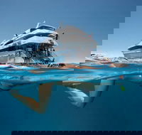 3 Day Great Barrier Reef Daintree Rainforest and Outback Chillagoe Tour - Accommodation Gold Coast