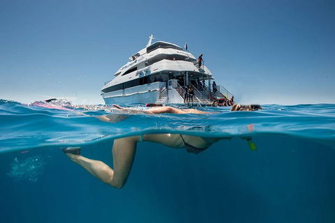 3 Day Great Barrier Reef, Daintree Rainforest And Outback Chillagoe Tour - Accommodation Gold Coast 0