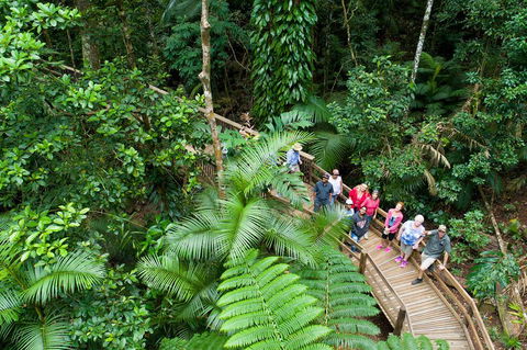 3 Day Great Barrier Reef, Daintree Rainforest And Outback Chillagoe Tour - Accommodation Gold Coast 2