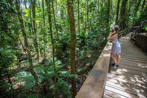 3 Day Great Barrier Reef, Daintree Rainforest And Outback Chillagoe Tour - Accommodation Gold Coast 3