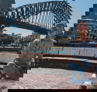 The Rocks  Darling Harbour With A Local Private  Personalized - Accommodation Gold Coast