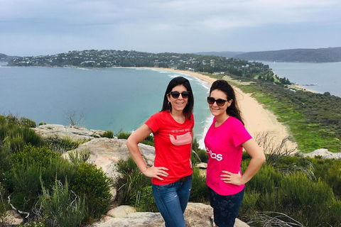 Small-Group Sydney's Northern Beaches And Ku-ring-gai National Park Bus Tour - Accommodation Gold Coast 3