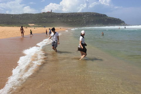 Small-Group Sydney's Northern Beaches And Ku-ring-gai National Park Bus Tour - Accommodation Gold Coast 5