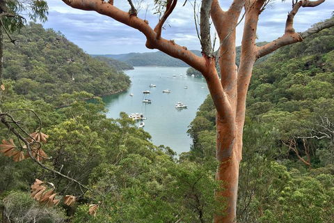 Shore Excursion: Sydney's Northern Beaches & Ku-ring-gai National Park Bus Tour - Accommodation Gold Coast 1