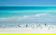 Private Coral Cay Bubbles Tour - thumb 2