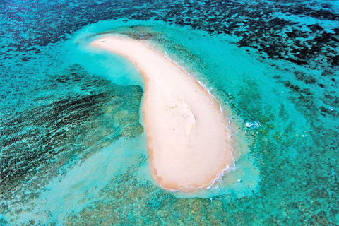 Private Coral Cay Bubbles Tour - Accommodation Gold Coast 3