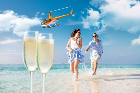 Private Coral Cay Bubbles Tour - Accommodation Gold Coast 4