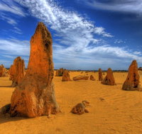 Pinnacles Desert  New Norcia Day Tour from Perth - Accommodation Gold Coast