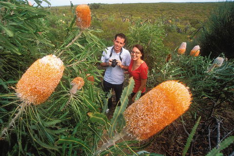 Best Of Perth Wildflower Season Day Trip - Accommodation Gold Coast 0