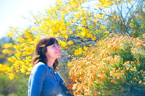 Best Of Perth Wildflower Season Day Trip - Accommodation Gold Coast 2