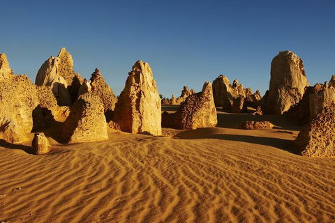 Full Day Pinnacle Desert Explorer From Perth Including Hillarys And Lancelin Sandboarding - Accommodation Gold Coast 3