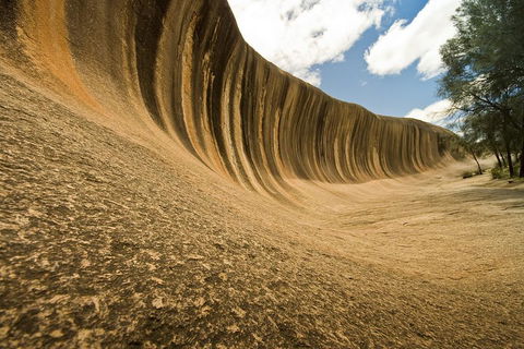 Wave Rock, York, Wildflowers, And Aboriginal Cultural Day Tour From Perth - Accommodation Gold Coast 0