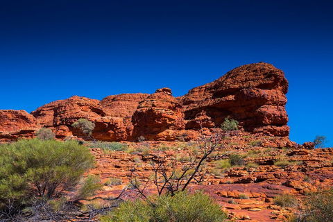 7-Day Guided Tour Of Alice Springs With Accommodation Included - Accommodation Gold Coast 4