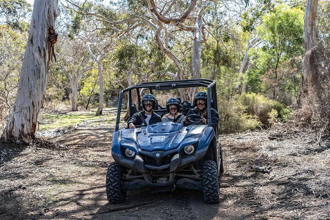 Small-Group Buggy Tour At Little Sahara With Guide - Accommodation Gold Coast 0