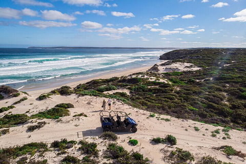 Small-Group Buggy Tour At Little Sahara With Guide - Accommodation Gold Coast 1