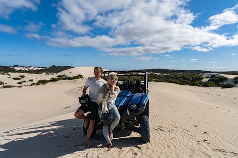 Small-Group Buggy Tour At Little Sahara With Guide - Accommodation Gold Coast 2