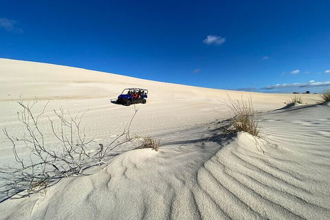 Small-Group Buggy Tour At Little Sahara With Guide - Accommodation Gold Coast 3