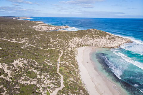 Small-Group Buggy Tour At Little Sahara With Guide - Accommodation Gold Coast 4