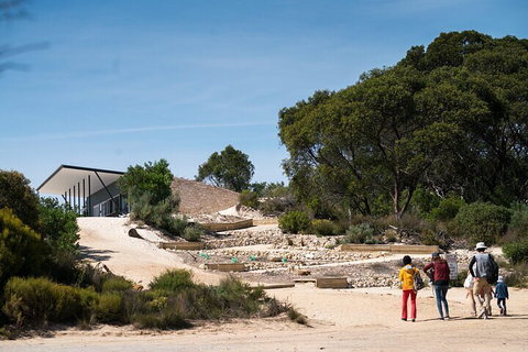 2-Hour Koala Walking Tour In Kangaroo Island - Accommodation Gold Coast 3