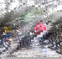 2 Hour Bike Tour in Kangaroo Island - Accommodation Gold Coast