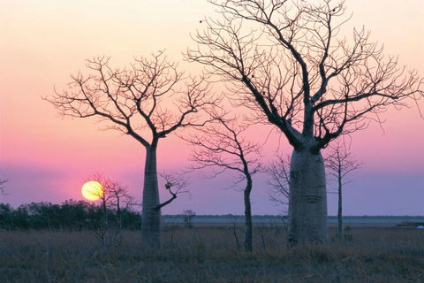 8-Day Outback Experience From Queensland - 1 Gold Coast 5