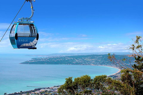 Peninsula Hot Springs Tour With Restaurant Lunch & Gondola Ride - Accommodation Gold Coast 1