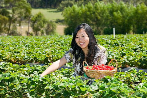 Peninsula Hot Springs Tour With Restaurant Lunch & Gondola Ride - Accommodation Gold Coast 5