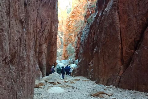 West MacDonnell Private Tour With Transfer - Accommodation Gold Coast 0
