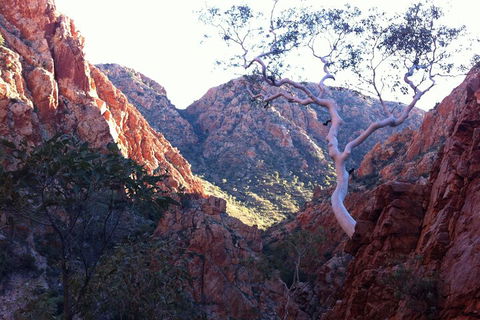 West MacDonnell Private Tour With Transfer - Accommodation Gold Coast 3