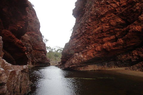 West MacDonnell Ranges Half - Day Tour - Accommodation Gold Coast 4