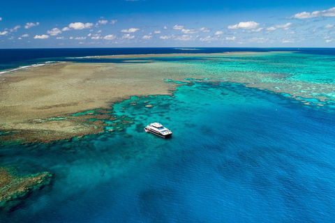 Calypso Outer Great Barrier Reef Cruise From Port Douglas - Accommodation Gold Coast 1