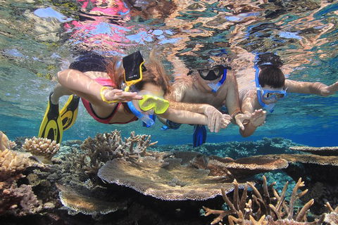 Calypso Outer Great Barrier Reef Cruise From Port Douglas - Accommodation Gold Coast 3
