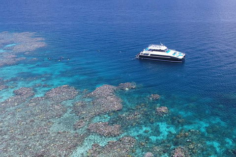 Calypso Outer Great Barrier Reef Cruise From Port Douglas - Accommodation Gold Coast 4