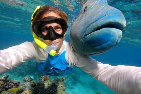 Calypso Outer Great Barrier Reef Cruise From Port Douglas - Accommodation Gold Coast 5